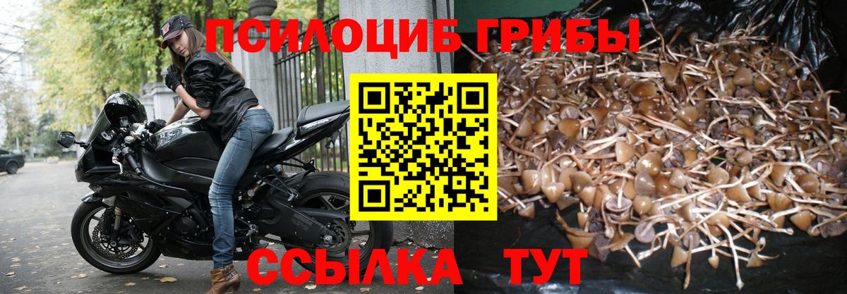Галлюциногенные грибы прущие грибы Волгоград