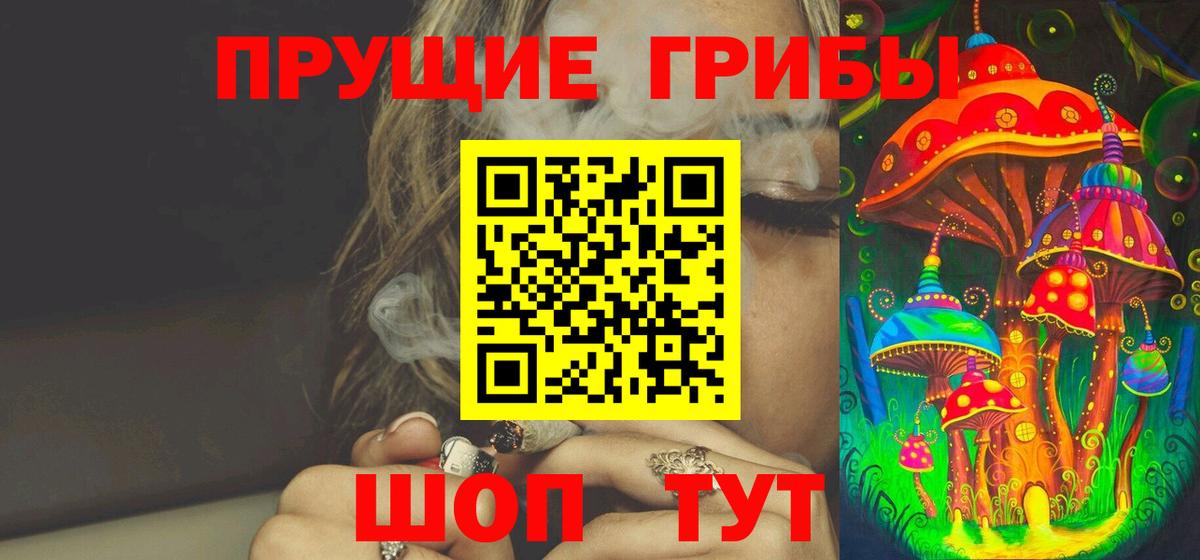 Волгоград  Псилоцибиновые грибы прущие грибы  Вход с VPN 